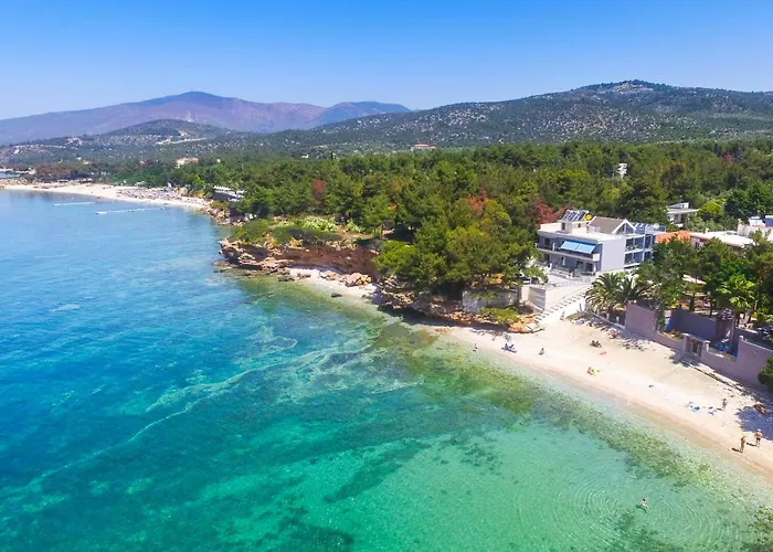 Nautilus Iii Aparthotel Potos